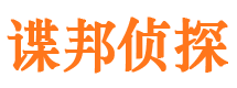 鼎湖市私家侦探